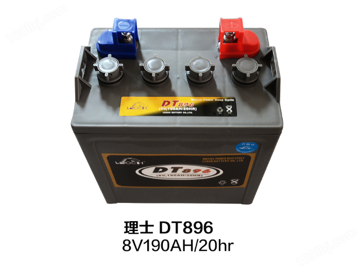 LEOCH理士DT896蓄电池8V190AH/20HR电池观光车电动高尔夫球车电瓶