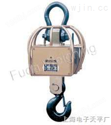 上海2T吊钩称，电子挂钩秤，吊车衡，电子吊称